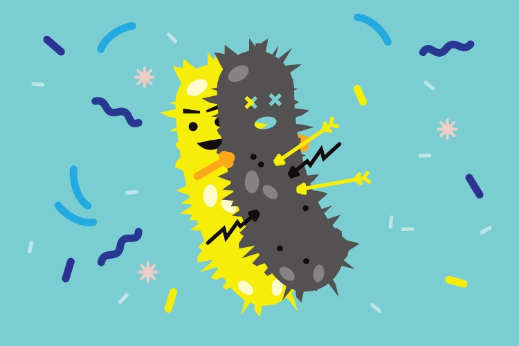 Trong hàng triệu vi khuẩn, tồn tại những cá thể có khả năng kháng kháng sinh tự nhiên.