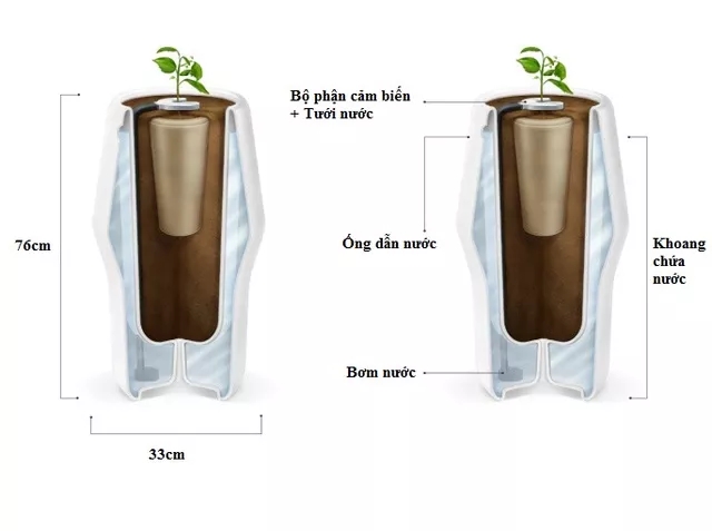 Một công ty phát kiến ra cách kỳ lạ để mai táng người thân đã mất giúp bạn có thể luôn ở bên họ