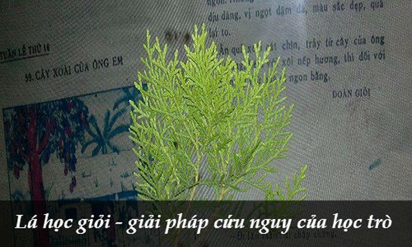 10 hiểu lầm thú vị của trẻ con Việt Nam ngày xưa