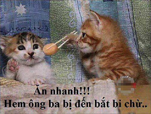 10 hiểu lầm thú vị của trẻ con Việt Nam ngày xưa