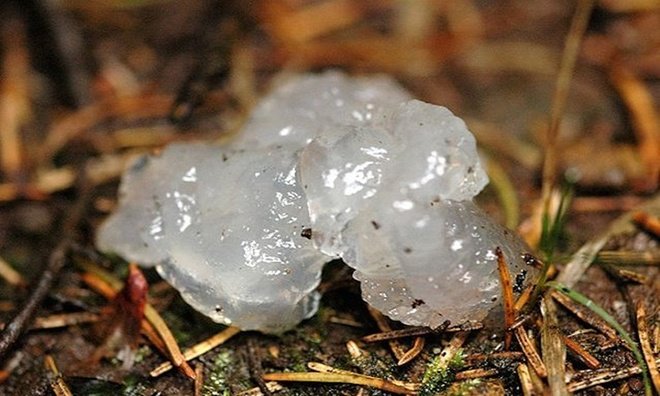 9 hiện tượng tự nhiên khoa học chưa thể lý giải