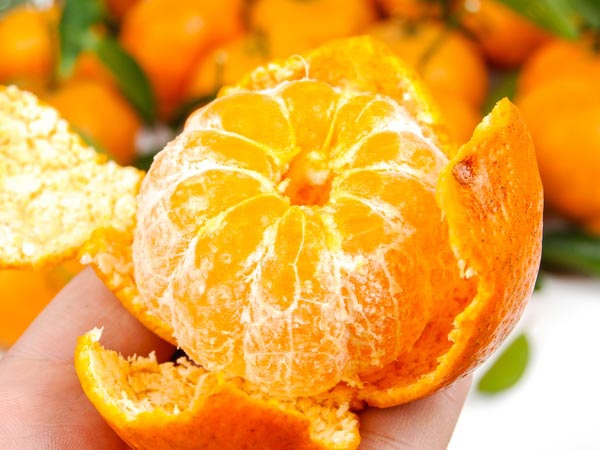 Bạn đang vứt đi tiên dược ngăn ngừa ung thư