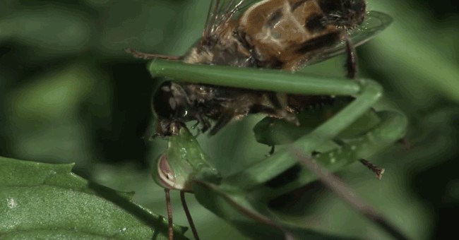 8 bức ảnh về sự đáng sợ của thiên nhiên khiến bạn "lạnh gáy"