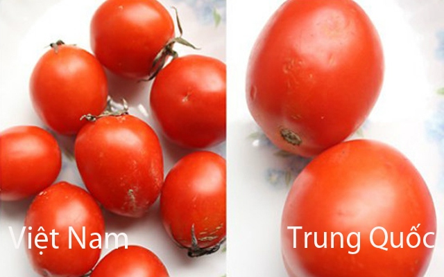 Cà chua Trung Quốc vỏ ngoài bóng, to và không có cuống.