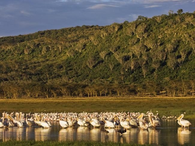 Hệ thống hồ trong thung lũng nứt vỡ lớn – Di sản thiên nhiên thế giới tại Kenya