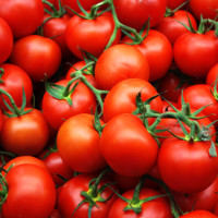 Phát hiện "Viagra tự nhiên" trong cà chua