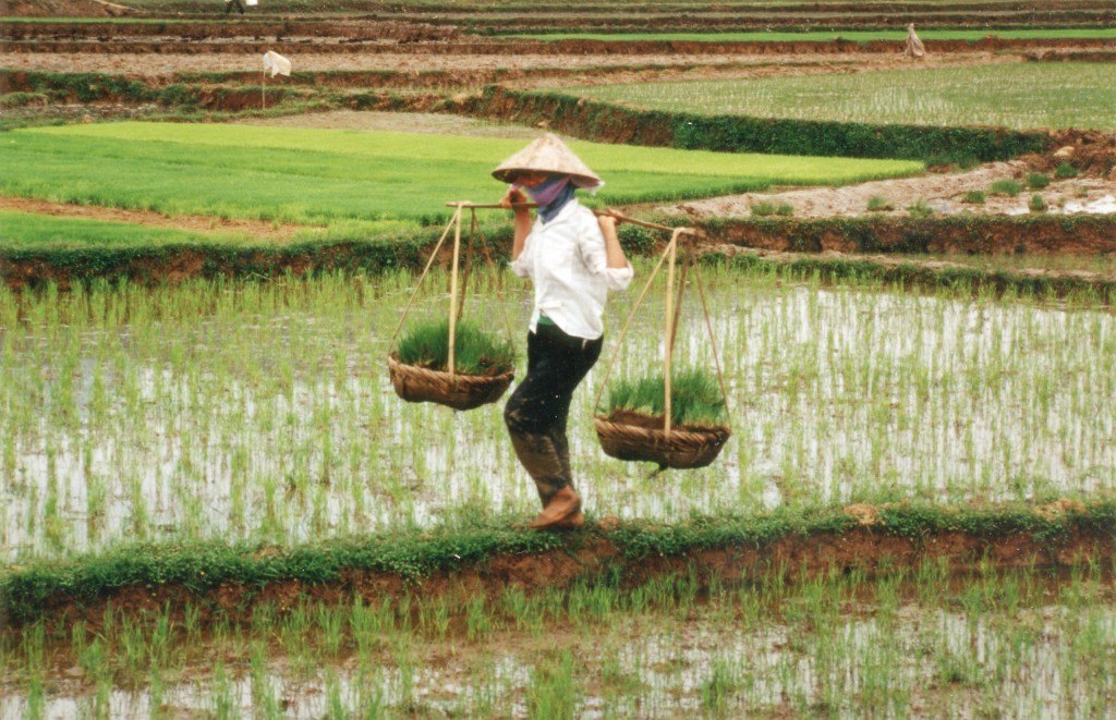 10 đợt hạn hán khủng khiếp nhất khắp thế giới