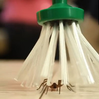 Video: Phát minh đột phá ra cây bắt nhện