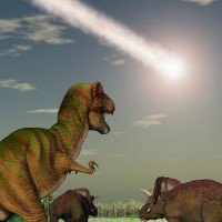 Không có thảm hoạ thiên thạch, khủng long vẫn tuyệt chủng