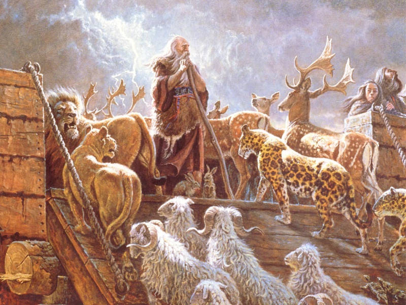 Noah và chiếc thuyền cứu thế của mình.