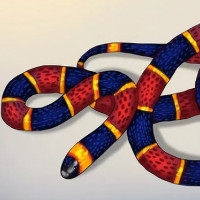 5 mẹo dân gian khiến rắn sẽ không dám bén mảng tới gần nhà bạn