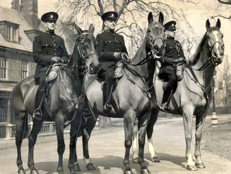 Bốn con ngựa Olgapn, Regal, Upstart và Warrior