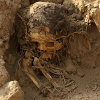 Phát hiện xác ướp phụ nữ có niên đại 4.500 năm tuổi tại Peru