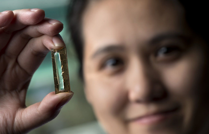 Mye Le Thai và viên pin lithium làm từ nano. 