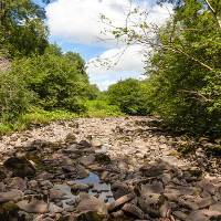 Thêm hai con sông biến mất chỉ sau một đêm ở Mexico