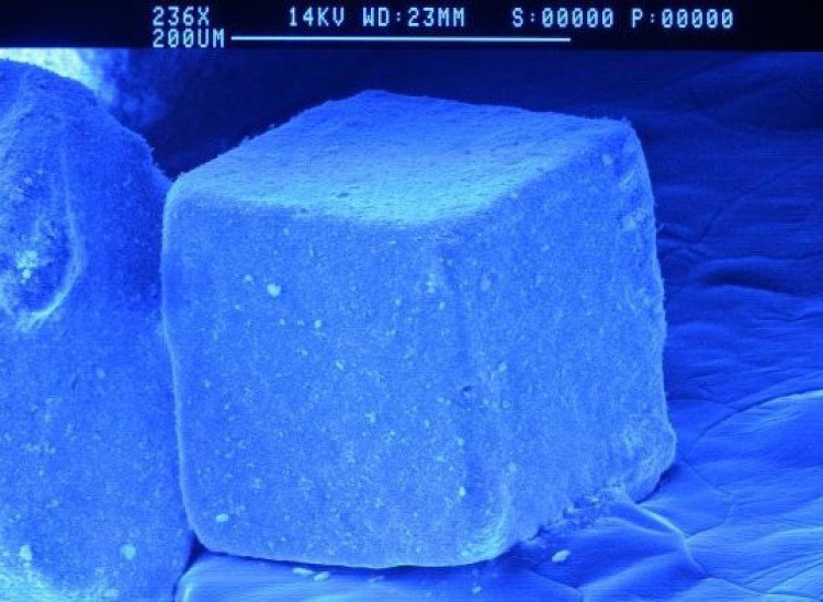 Kinh ngạc với 35 hình ảnh quen thuộc trở nên vô cùng kỳ quái dưới kính hiển vi