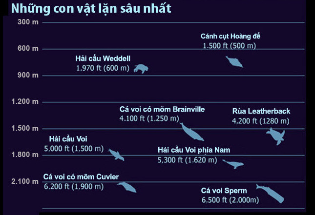 Sự trả giá khủng khiếp cho con người nếu đi quá giới hạn của biển