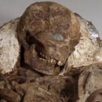 Phát hiện hóa thạch "mẹ và bé" 4.800 năm ở Đài Loan