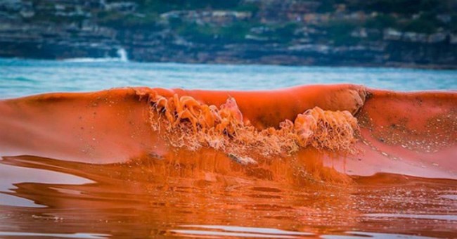 Tổng hợp tin tức hay nhất tuần 04/04