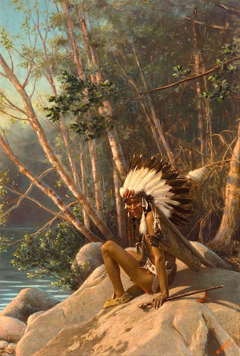 Ảnh chụp một người thổ dân châu Mỹ năm 1908. Bức vẽ lại bằng tay của Roland W. Reed.