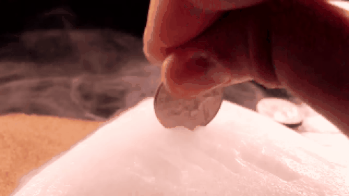 Thí nghiệm thú vị 
