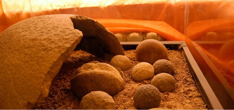 Sự thật gây sốc về sa mạc bạn khó có thể tin