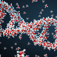 Microsoft mua hàng triệu sợi ADN để lưu trữ dữ liệu