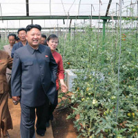 Hình ảnh hiếm về nền nông nghiệp ở Triều Tiên