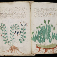 Bí ẩn cuốn sách Voynich