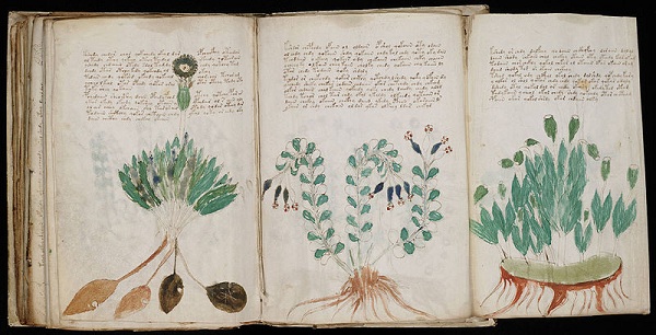 Bí ẩn cuốn sách Voynich