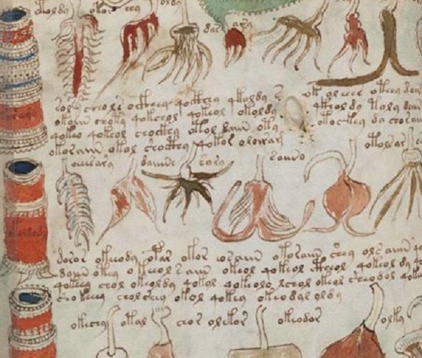 Bí ẩn cuốn sách Voynich