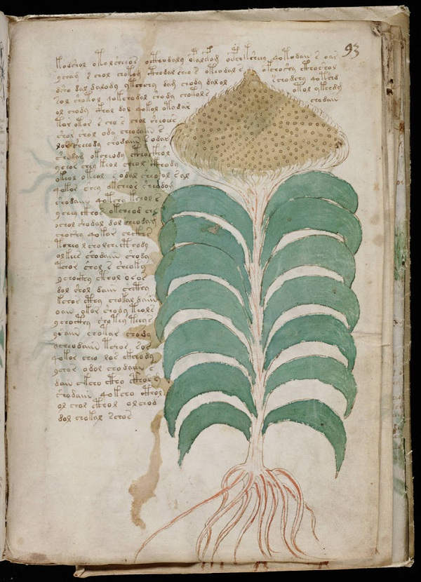 Bí ẩn cuốn sách Voynich
