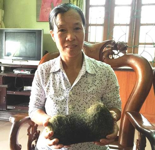 Vật nghi là "cát lợn" được tìm thấy trong dạ dày lợn nái của gia đình chị Nhàn. Vật nghi là "cát lợn" được tìm thấy trong dạ dày lợn nái của gia đình chị Nhàn.