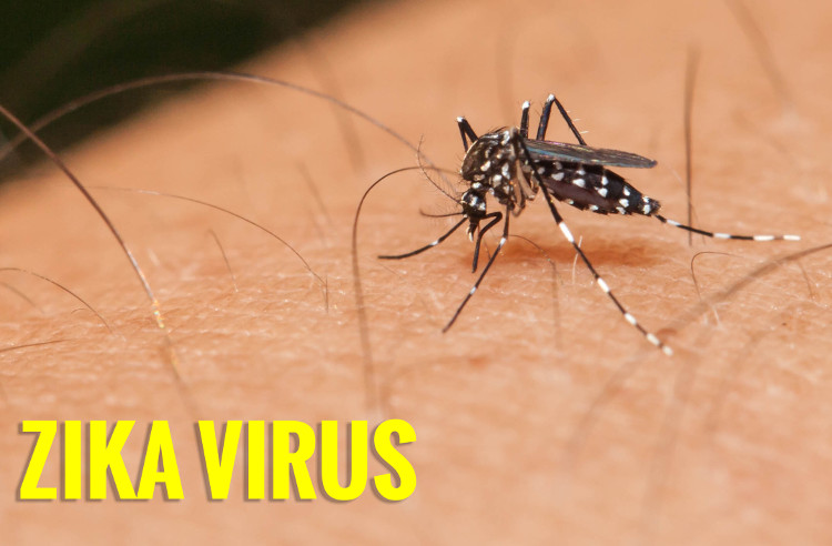 Cô gái Hàn Quốc nhiễm virus Zika sau khi trở về từ Việt Nam