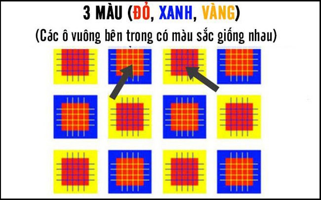Bạn nhìn thấy bao nhiêu màu trong bức hình này?