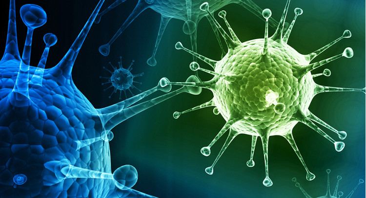 IBM thành công trong việc tạo ra một đại phân tử có thể tiêu diệt mọi loại virus