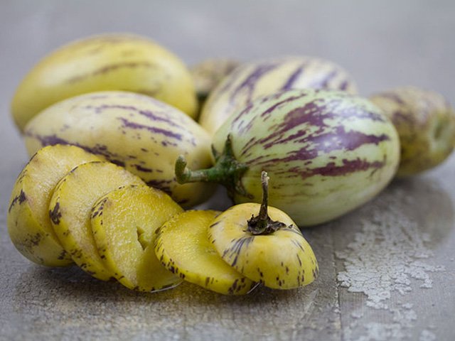 Cách trồng dưa pepino sai quả trong chậu cho mọi nhà