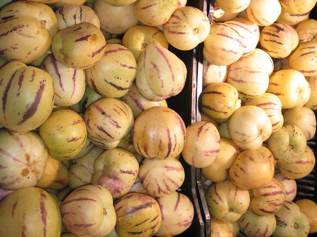 Cách trồng dưa pepino sai quả trong chậu cho mọi nhà