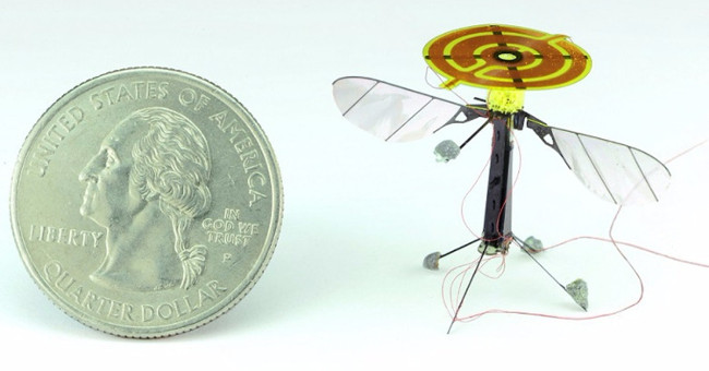 Robot do thám nhỏ nhất thế giới