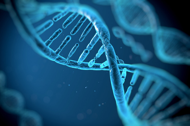 Thí nghiệm phân tách virus HIV thành công, hứa hẹn chữa trị hoàn toàn căn bệnh này