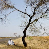 Người đi bộ không nhấc được chân vì nắng nóng làm đường nóng chảy ở Ấn Độ