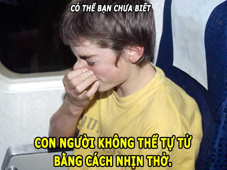 Tại sao không thể tự tử bằng cách nhịn thở?