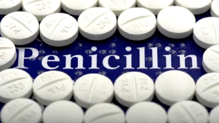 Penicillin là phát minh quan trọng nhất của loài người, chỉ sau lửa.