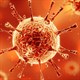 Điểm danh những loại virus nguy hiểm nhất hành tinh