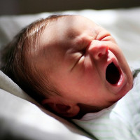 Video: Em bé chào đời như thế nào