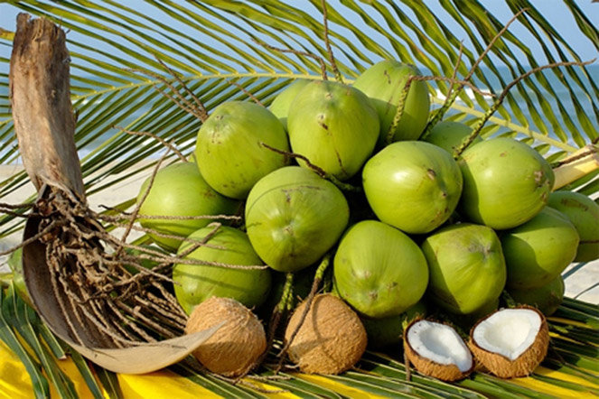 16 lý do để uống nước dừa