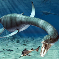 Quái vật biển cổ dài thống trị đại dương kỷ Jura