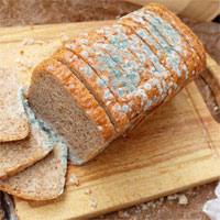 Có nguy hiểm không nếu ăn bánh mì đã bị mốc?