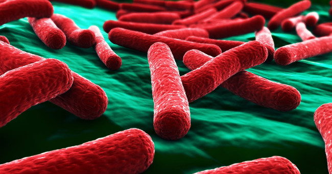Phát minh ra vật liệu tiêu diệt vi khuẩn E.coli trong 30 giây