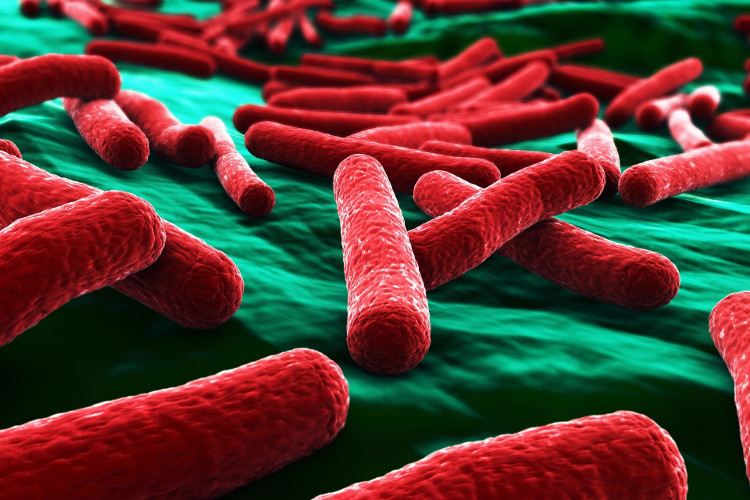 Phát minh ra vật liệu tiêu diệt vi khuẩn E.coli trong 30 giây